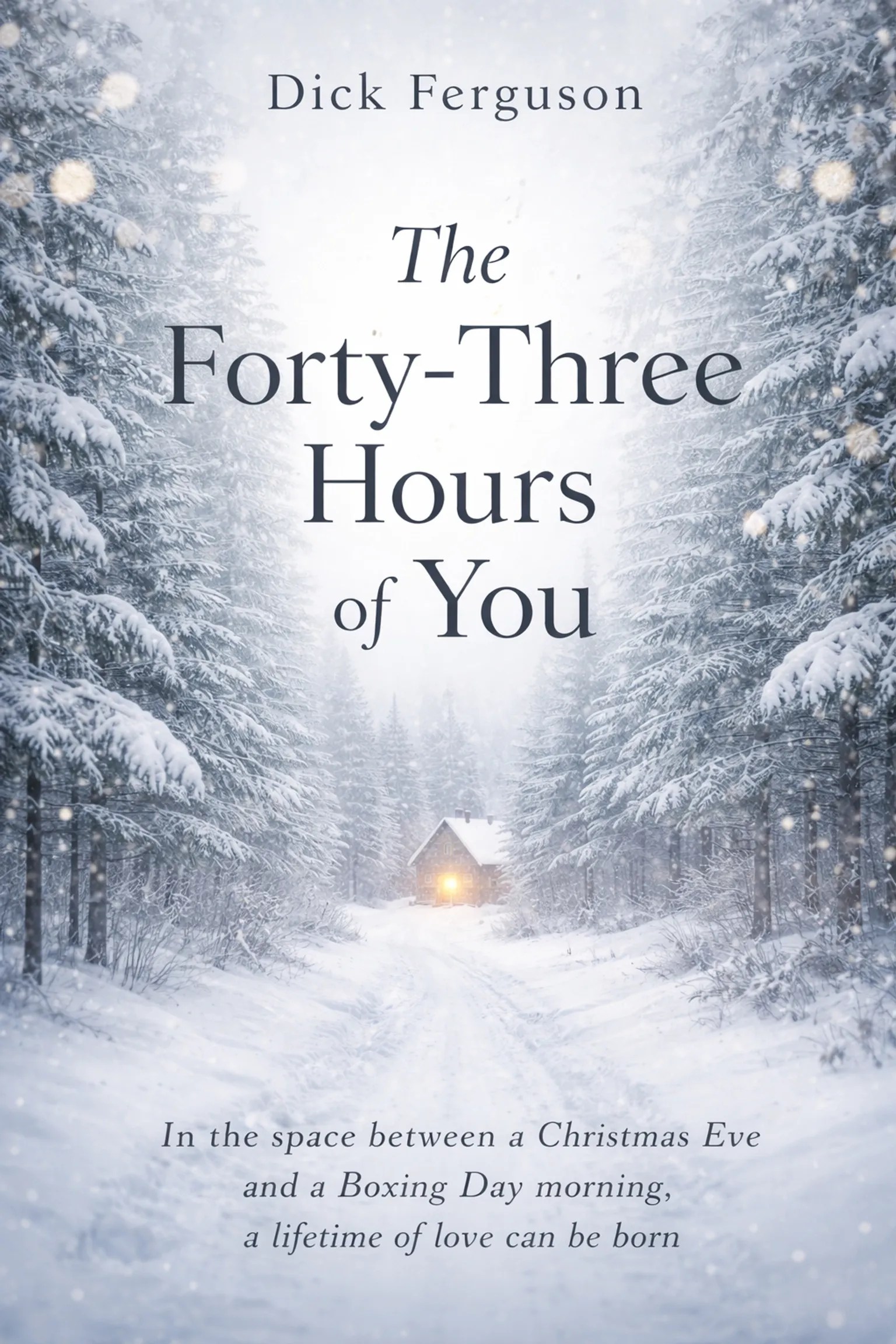 The Forty-Three Hours of You: In the space between a Christmas Eve and a Boxing Day morning, a lifetime of love can be born. - Image 9